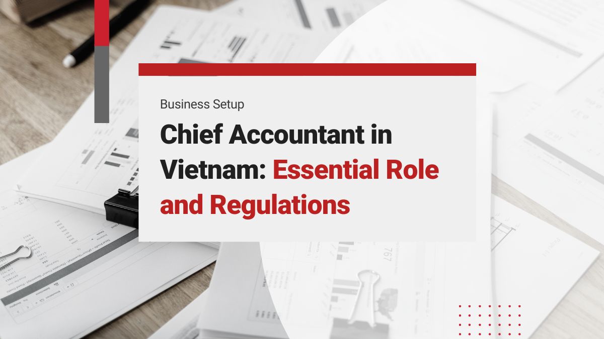 Chief Accountant in Vietnam: Essential Role and Regulations